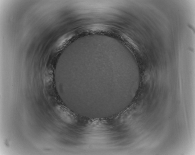 X0000099470824200805091545