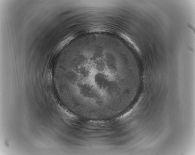 X0000099470825200805091545
