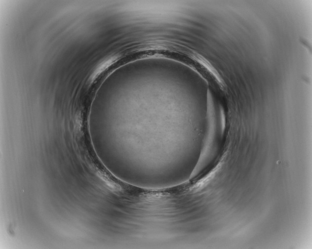 X0000099470826200805091545