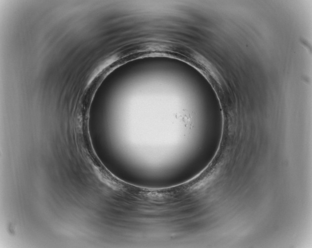 X0000099470827200805091545