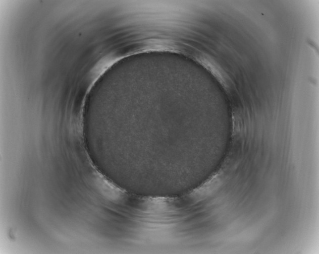 X0000099470828200805091545
