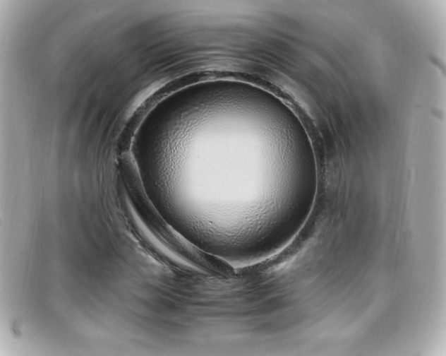 X0000099470829200805091545