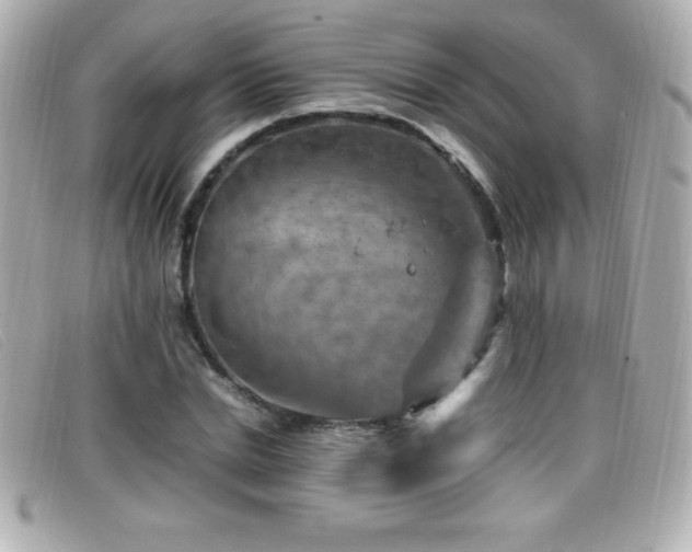 X0000099470830200805091545