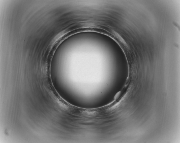 X0000099470831200805091545