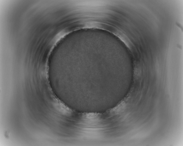 X0000099470832200805091545