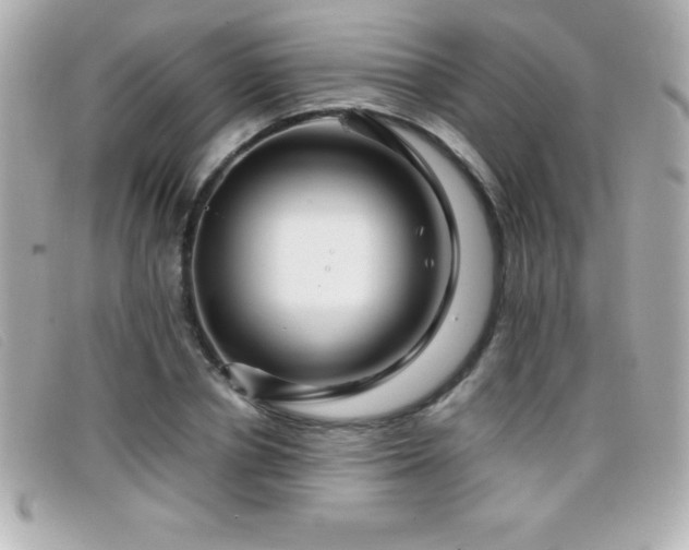 X0000099470834200805091545