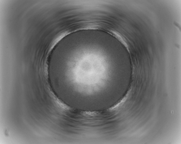X0000099470835200805091545