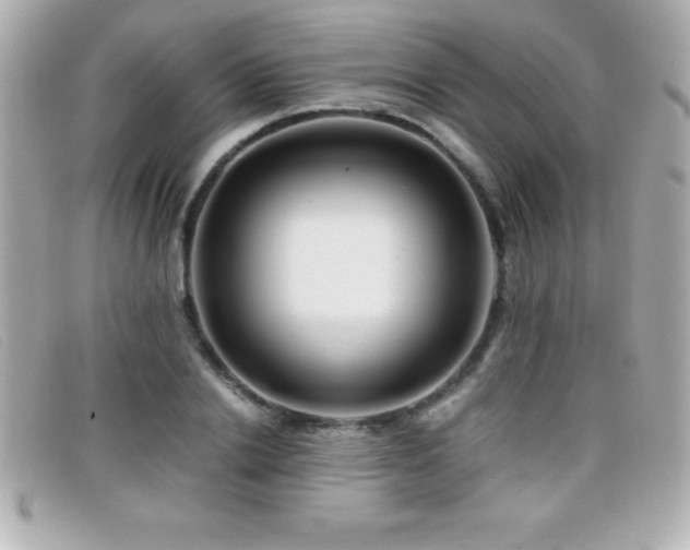 X0000099470838200805091545