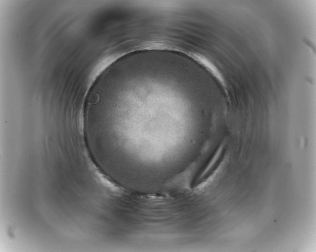 X0000099470839200805091545