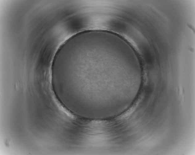 X0000099470840200805091545