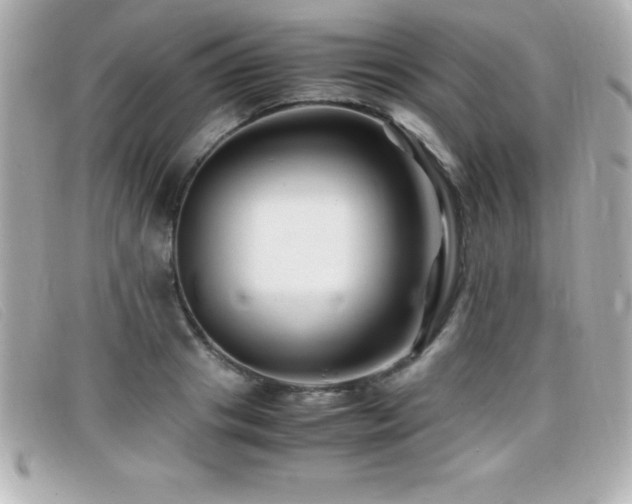 X0000099470841200805091545
