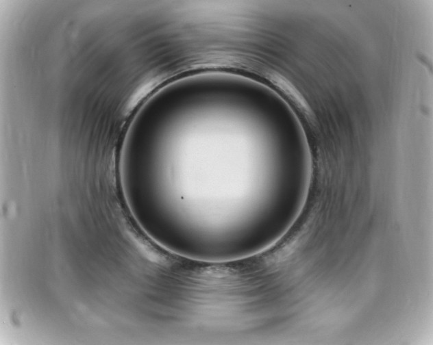 X0000099470842200805091545