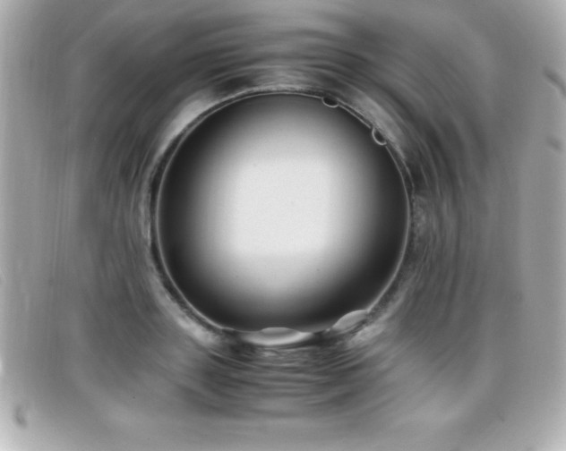 X0000099470843200805091545