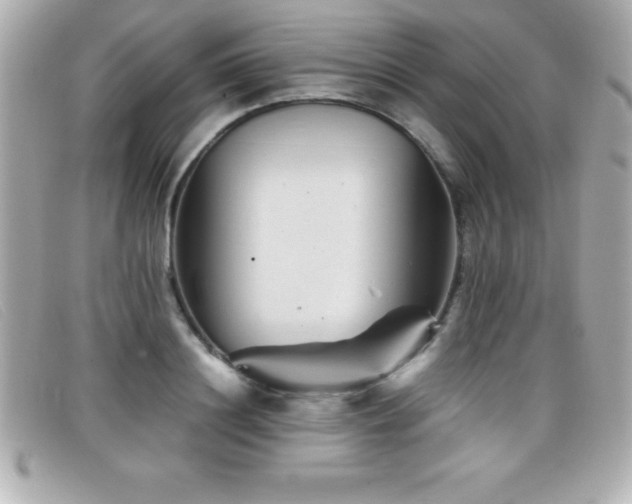 X0000099470844200805091545