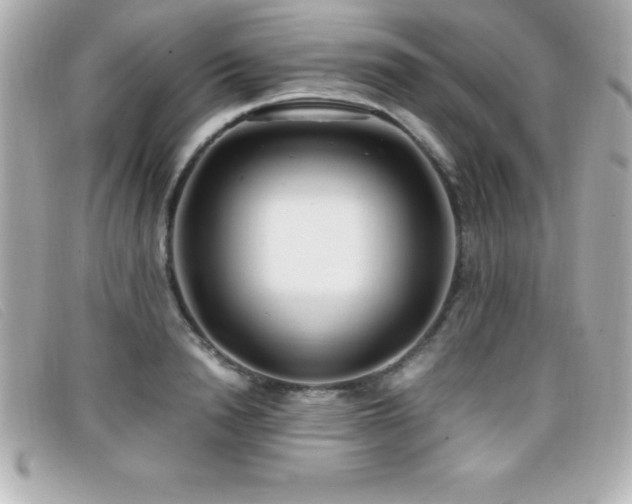 X0000099470846200805091545