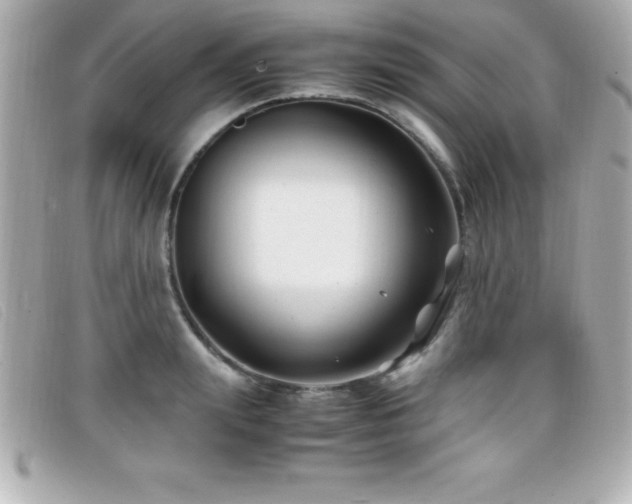 X0000099470847200805091545