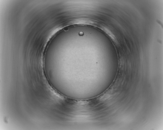 X0000099470848200805091545