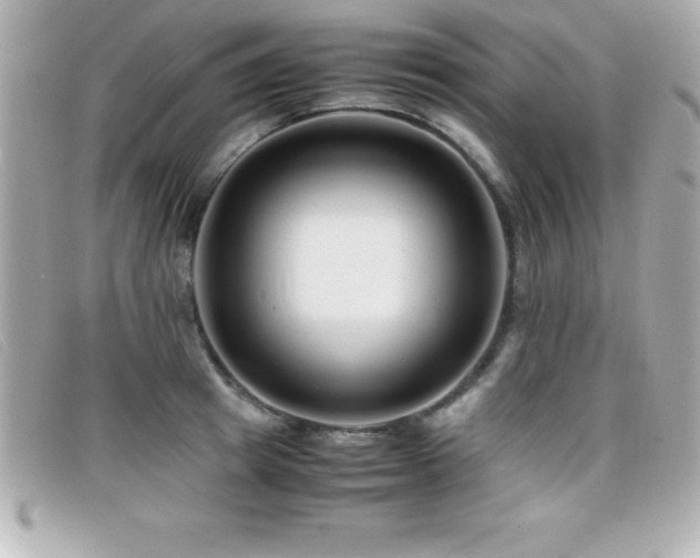 X0000099470849200805091545