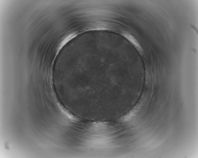 X0000099470850200805091545