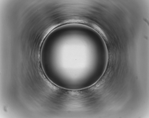 X0000099470852200805091545