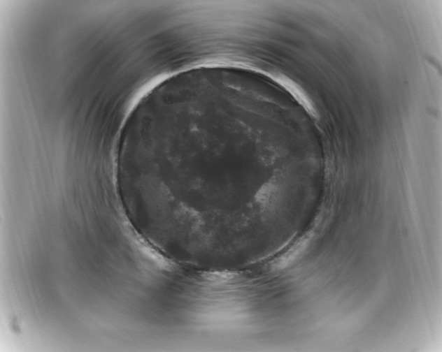 X0000099470854200805091546