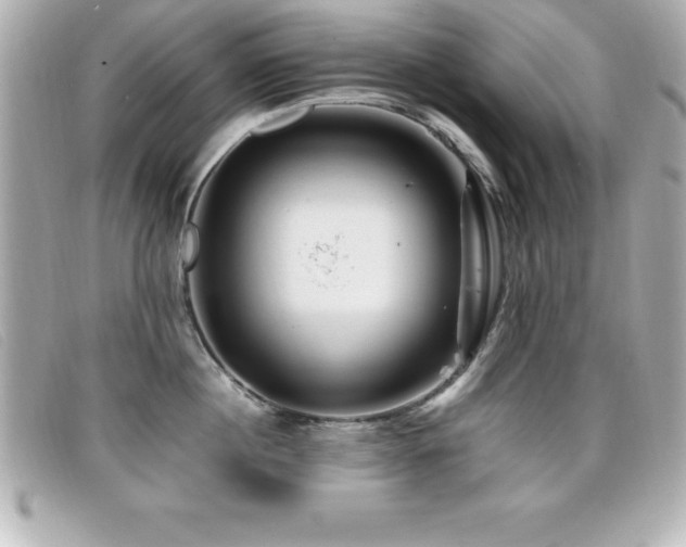 X0000099470860200805091546