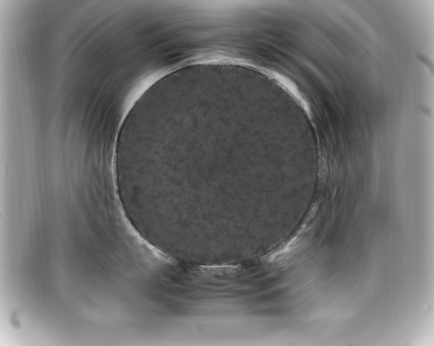 X0000099470863200805091546
