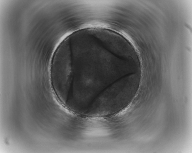 X0000099470864200805091546