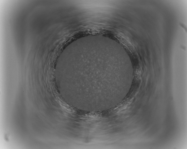 X0000099470865200805091545