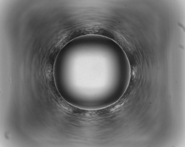 X0000099470867200805091545