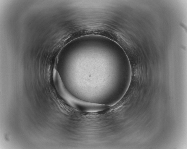 X0000099470868200805091545