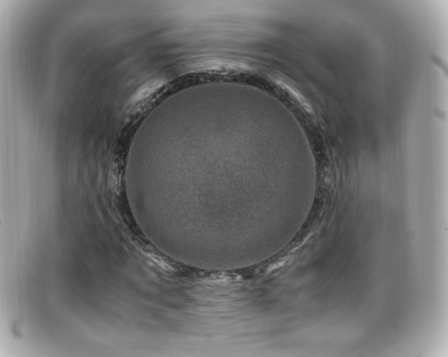 X0000099470869200805091545