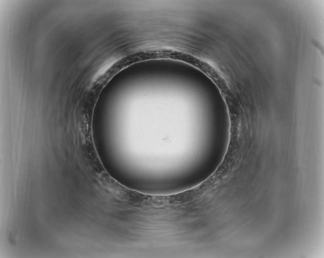 X0000099470871200805091545