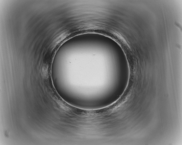 X0000099470873200805091545