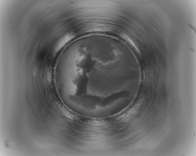 X0000099470874200805091545