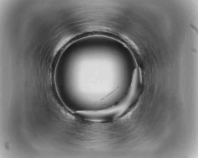 X0000099470877200805091545