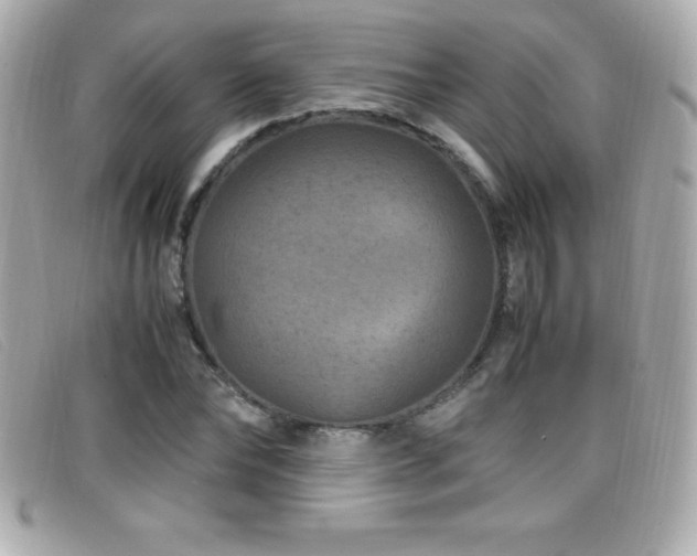 X0000099470878200805091545