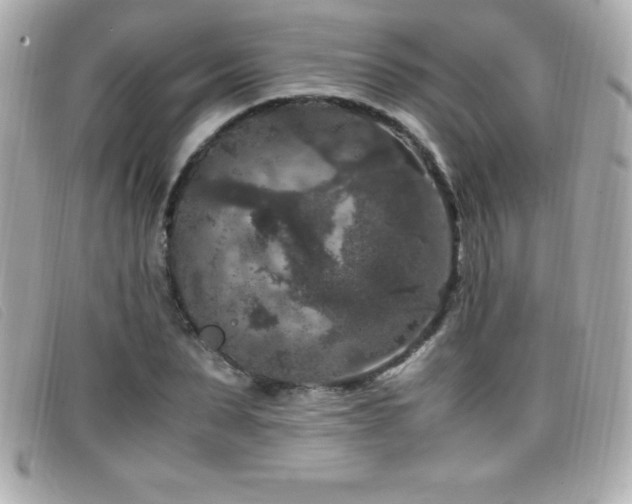 X0000099470879200805091545