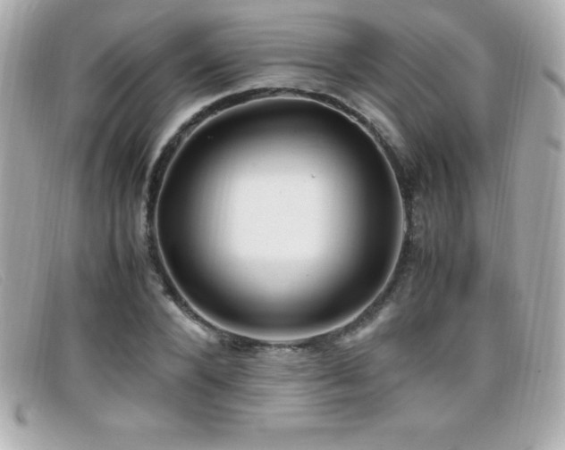 X0000099470880200805091545