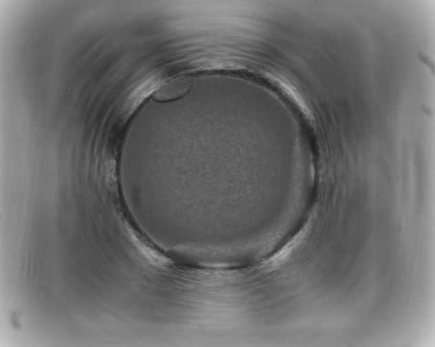 X0000099470881200805091545