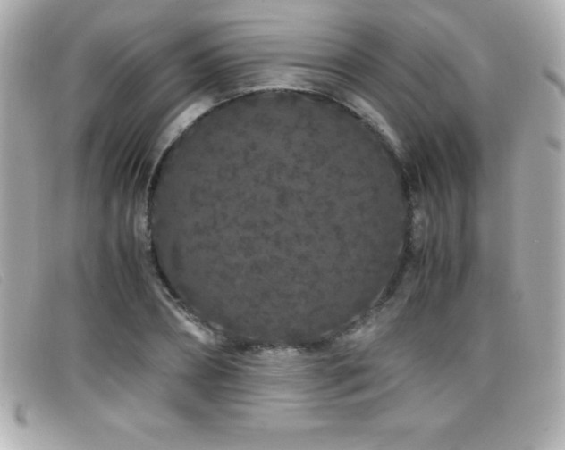 X0000099470882200805091545