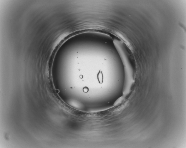 X0000099470883200805091545