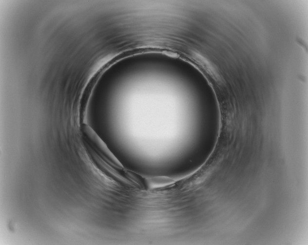 X0000099470884200805091545