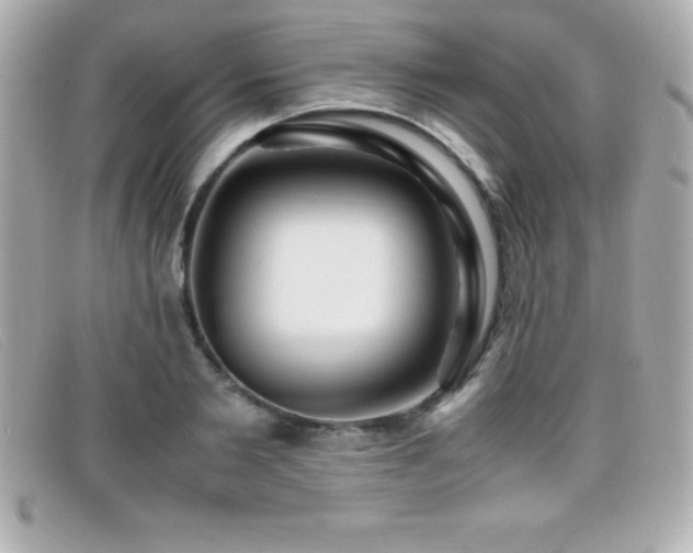 X0000099470885200805091545