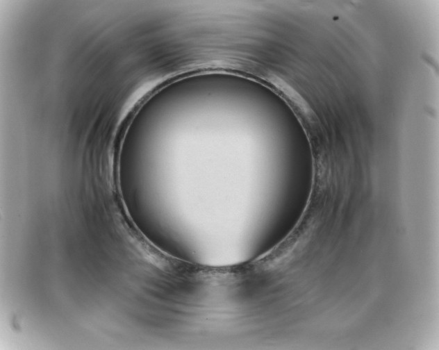X0000099470886200805091545