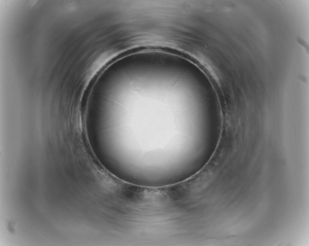 X0000099470887200805091545