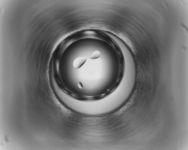 X0000099470888200805091545