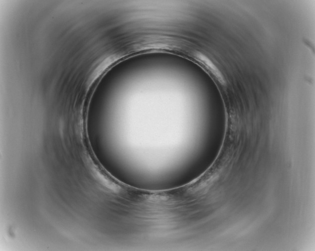 X0000099470890200805091545