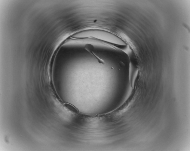 X0000099470892200805091545
