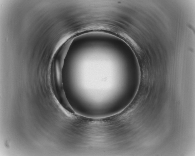 X0000099470894200805091545